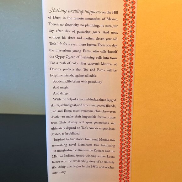 The Lightning Queen by Laura Resau ~ Middle Grade YA Historical Fiction - Picture 5 of 7